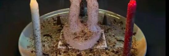 whatsapp image 2026 04 02 at 8.50.44 am